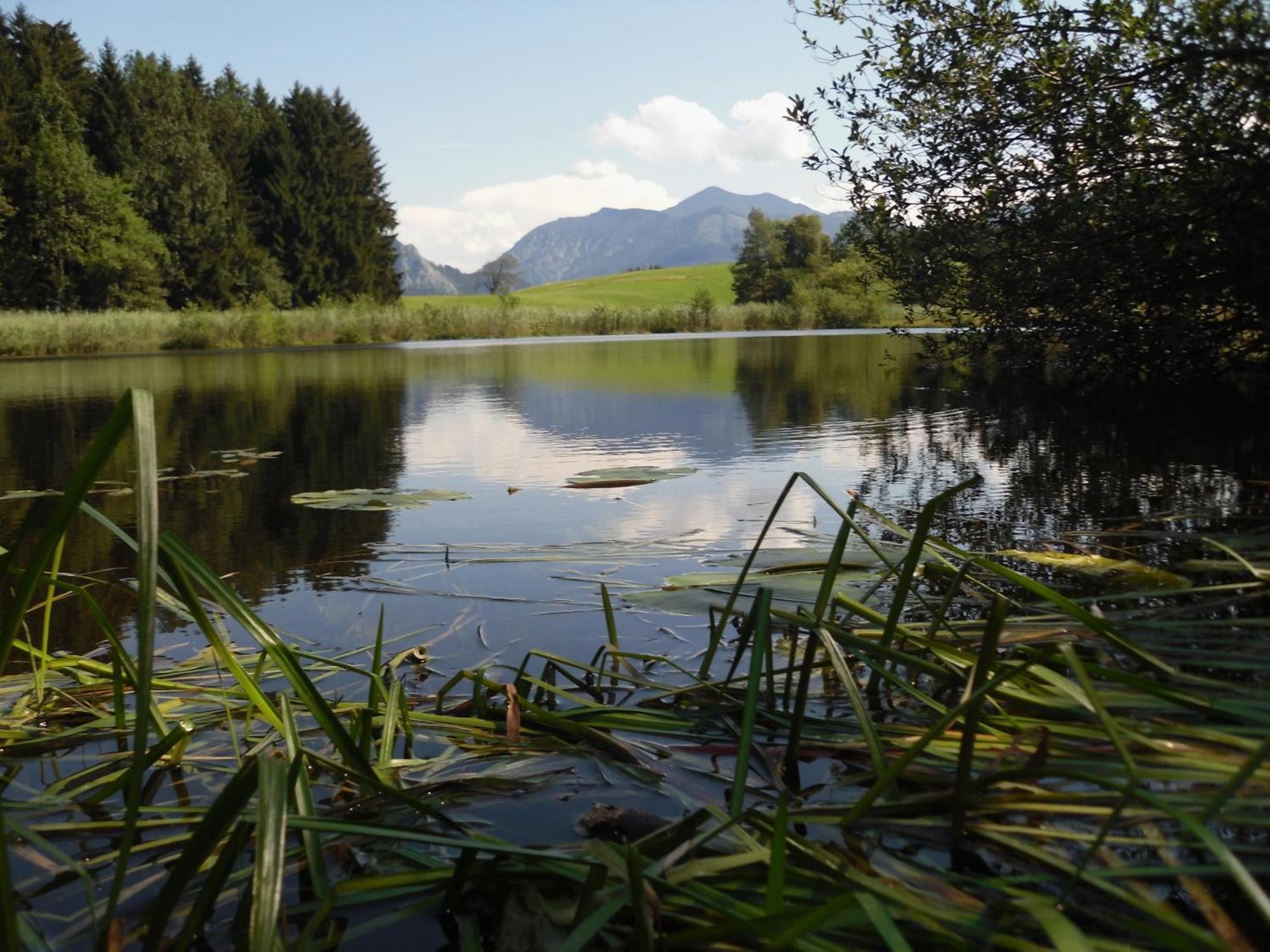 Ferienhof Margarethengut Unterach am Attersee Exteriör bild