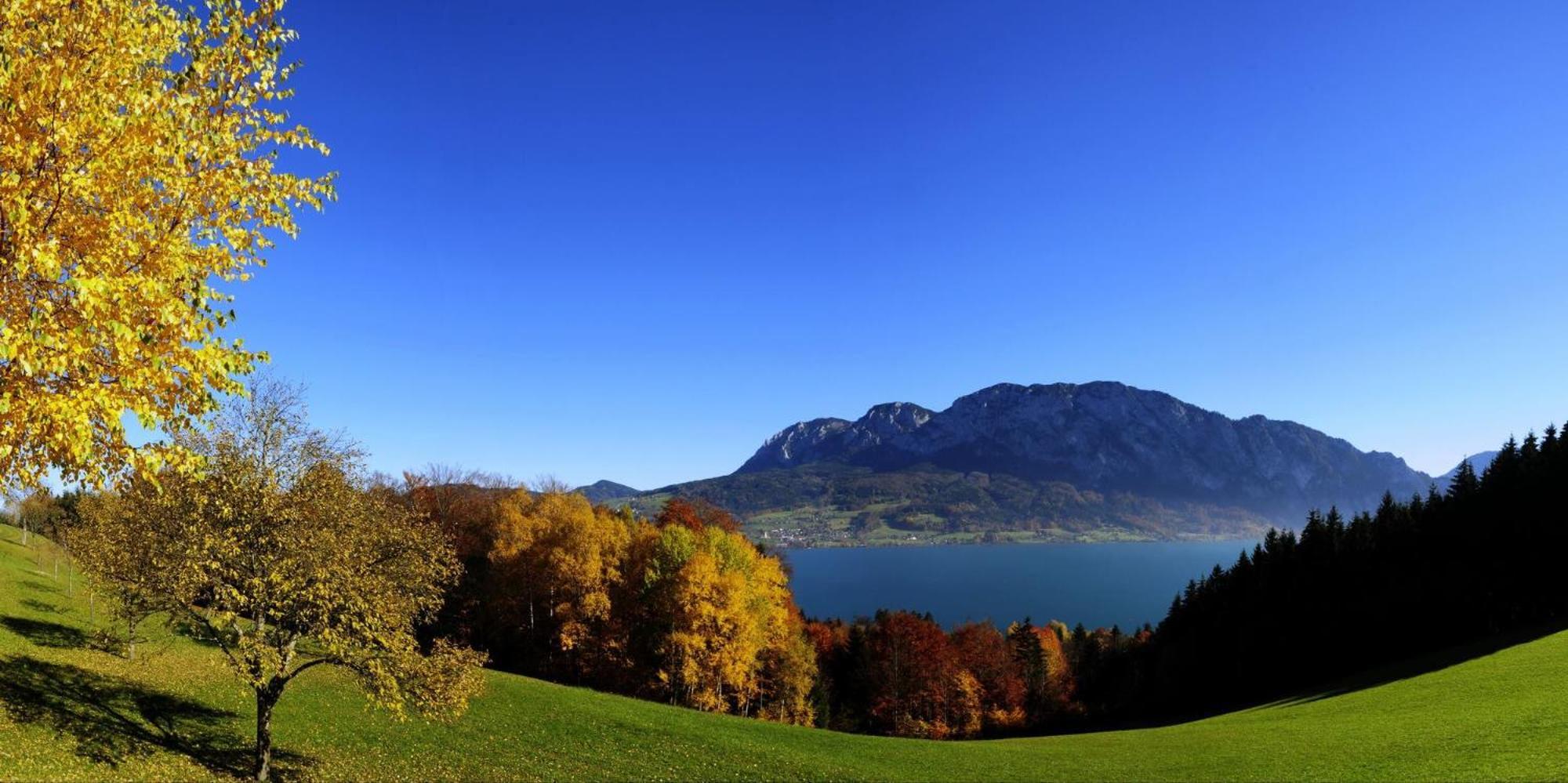 Ferienhof Margarethengut Unterach am Attersee Exteriör bild