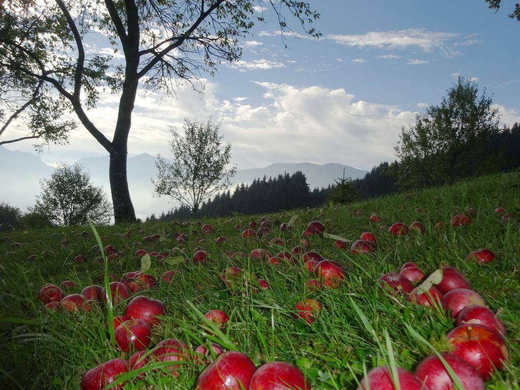 Ferienhof Margarethengut Unterach am Attersee Exteriör bild