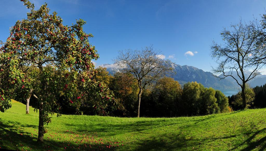 Ferienhof Margarethengut Unterach am Attersee Exteriör bild