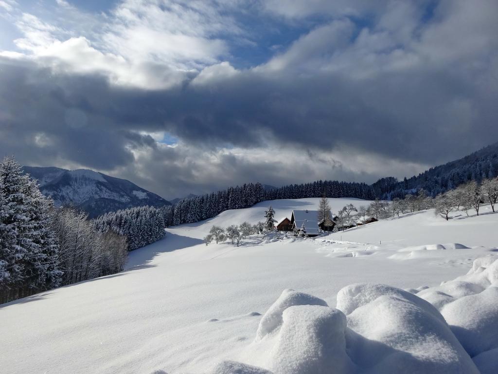 Ferienhof Margarethengut Unterach am Attersee Exteriör bild