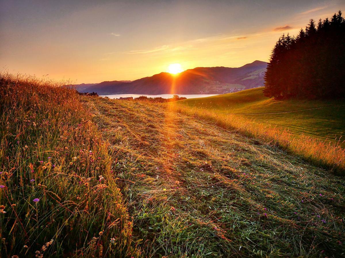 Ferienhof Margarethengut Unterach am Attersee Exteriör bild